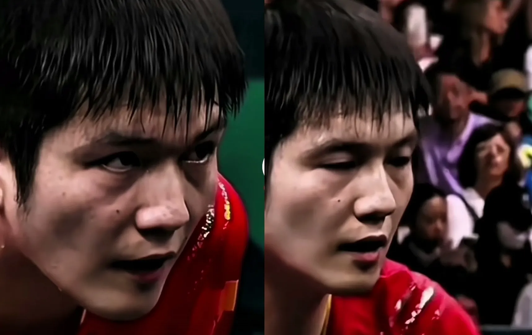 日本队翻盘韩国队,樊振东状态火热的简单介绍 日本队翻盘韩国队,樊振东状态火热的简单介绍