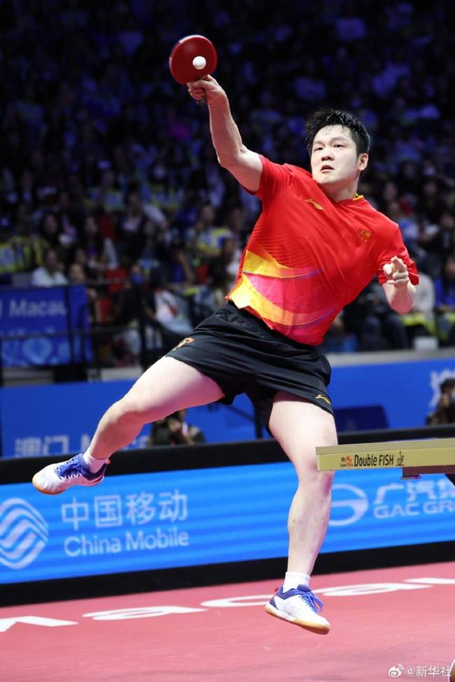 英格兰队横扫德国队,樊振东惊艳四座 英格兰队横扫德国队,樊振东惊艳四座