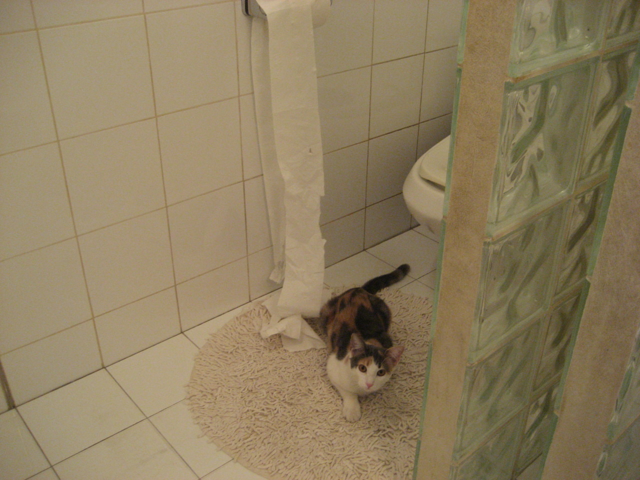 钢铁意志碾过天赋，北京队年度焦点之战强压猛龙启示录