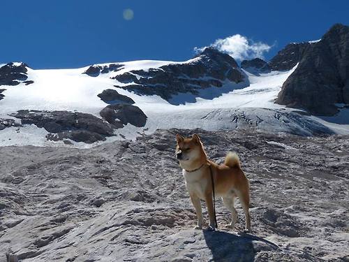 库尔图瓦点燃赛场，阿森纳逆转墨西哥，一场定义足球之美的矛盾交响