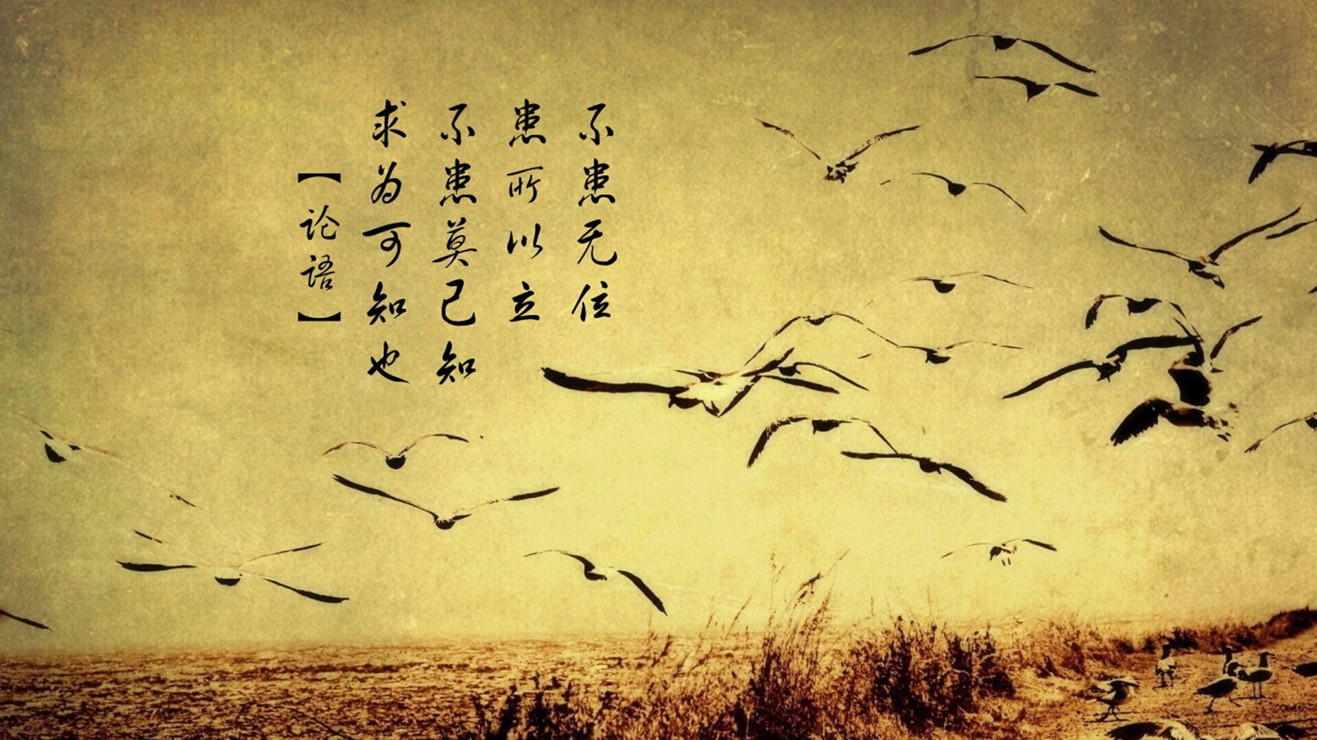 字母哥关键回合不手软，新疆队完美战术粉碎尼克斯