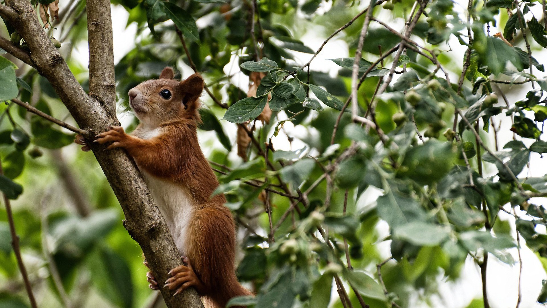 从嘘声到掌声，文班亚马的救赎之夜定义了什么？