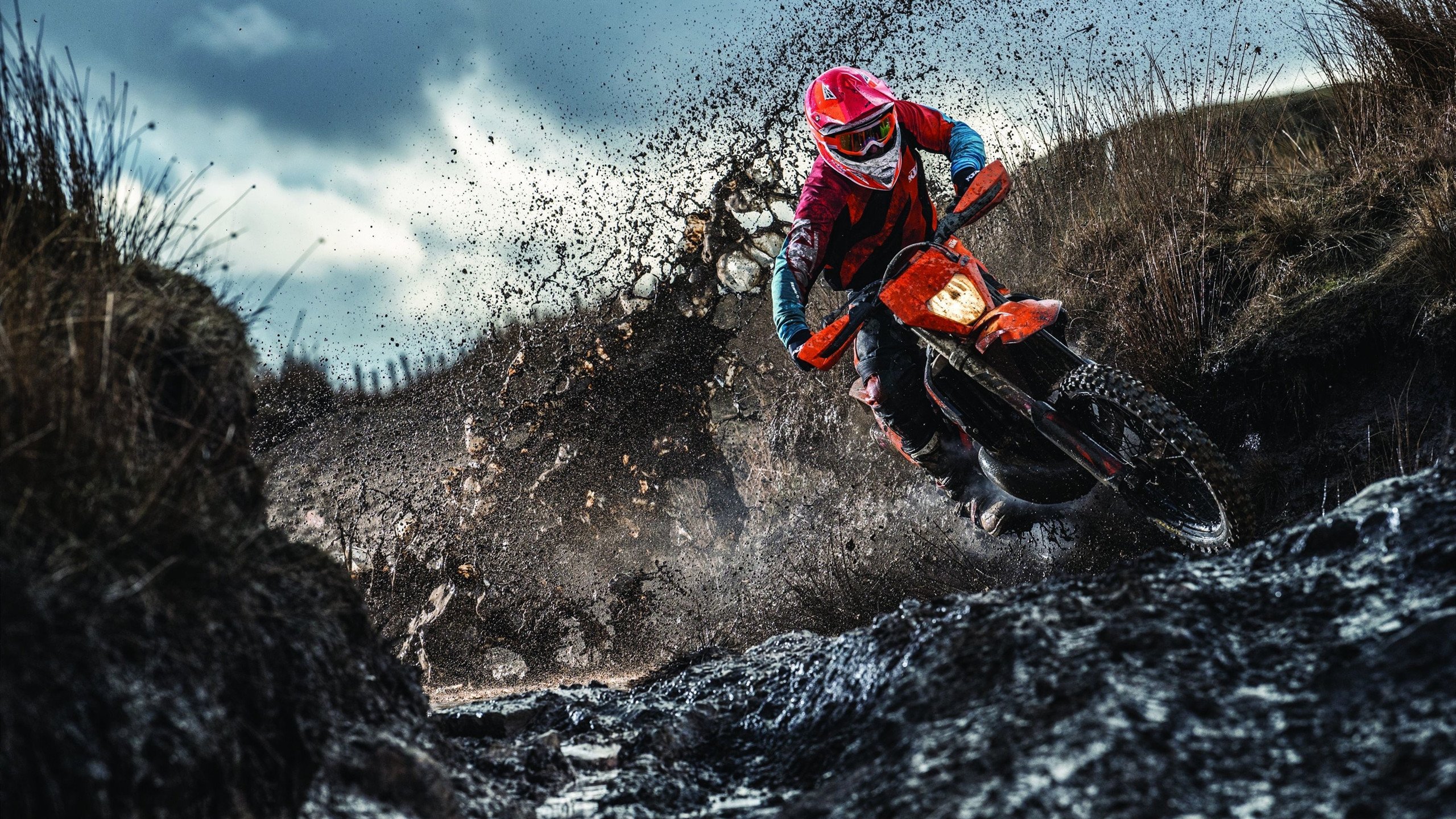 绿茵风暴席卷美加墨，三笘薰一夜封神成全球焦点