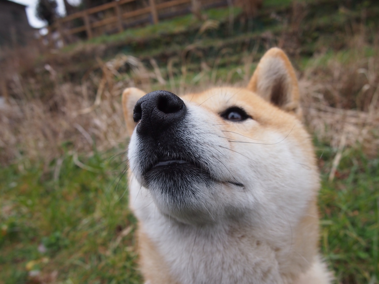 擒韩与新王，一场比赛背后的足球世界秩序演进