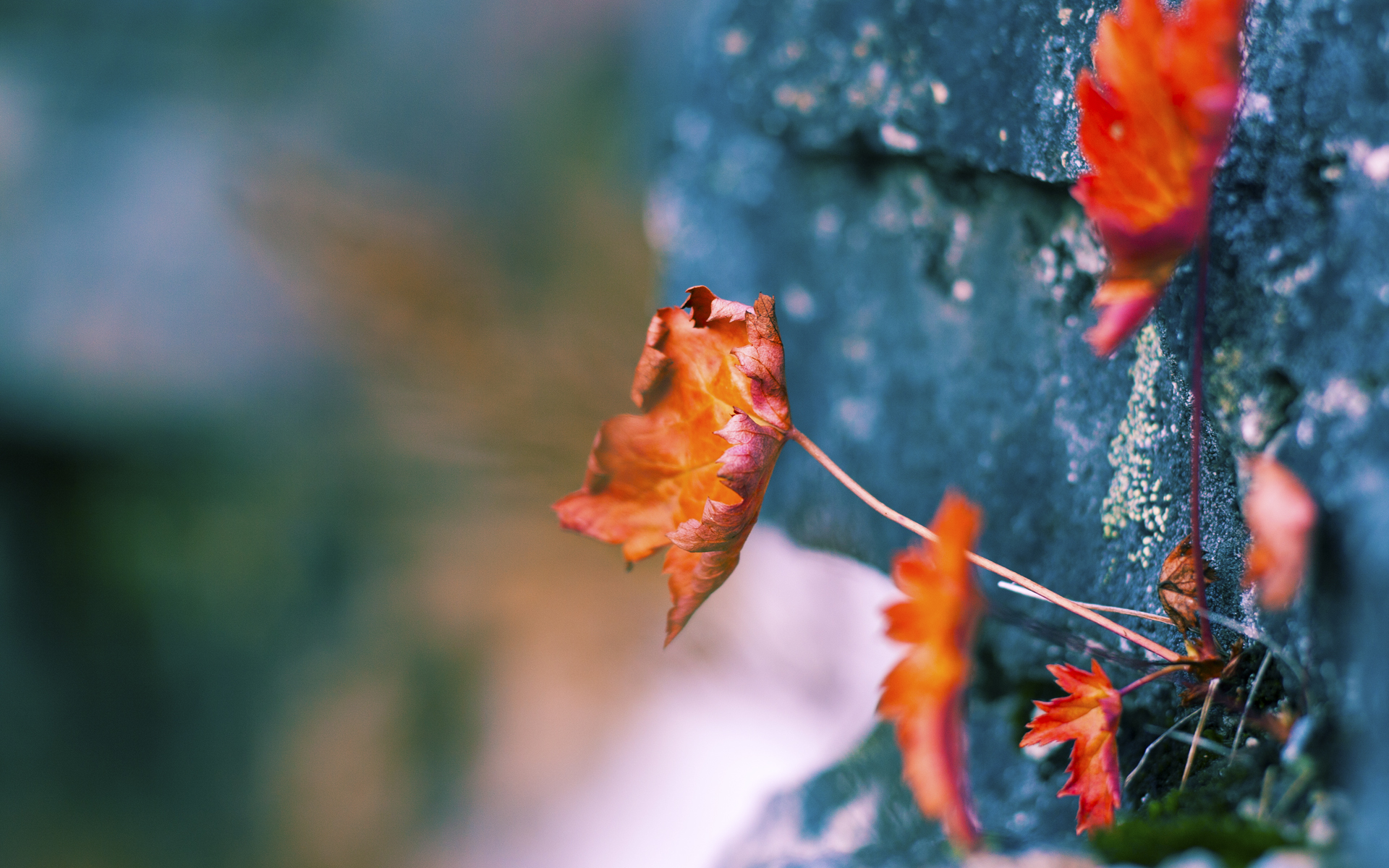 逆袭之夜,霍勒迪末节17分掀翻勇士,篮网防守制胜