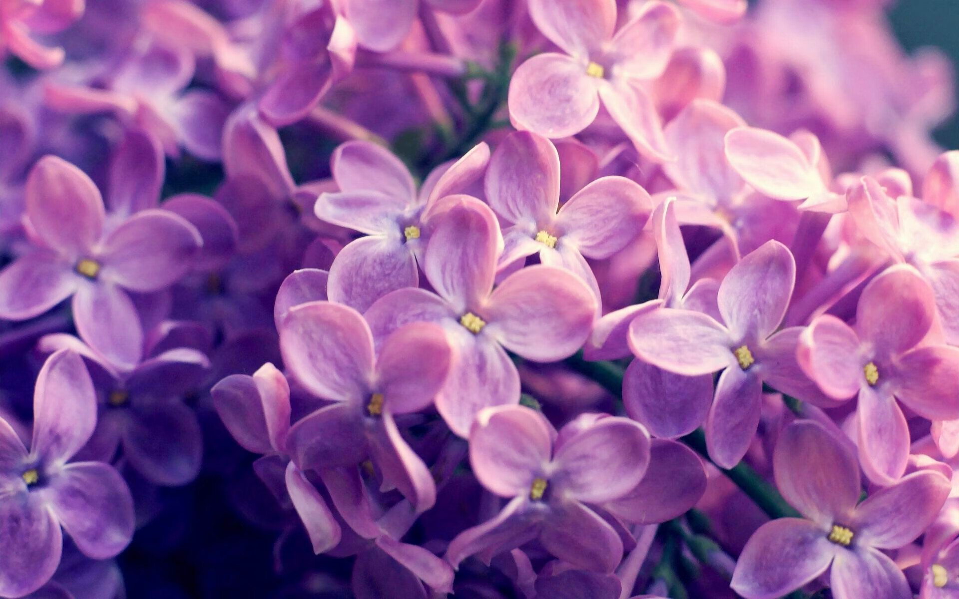末节狂飙!爱德华兹独揽38分主宰深黄大战