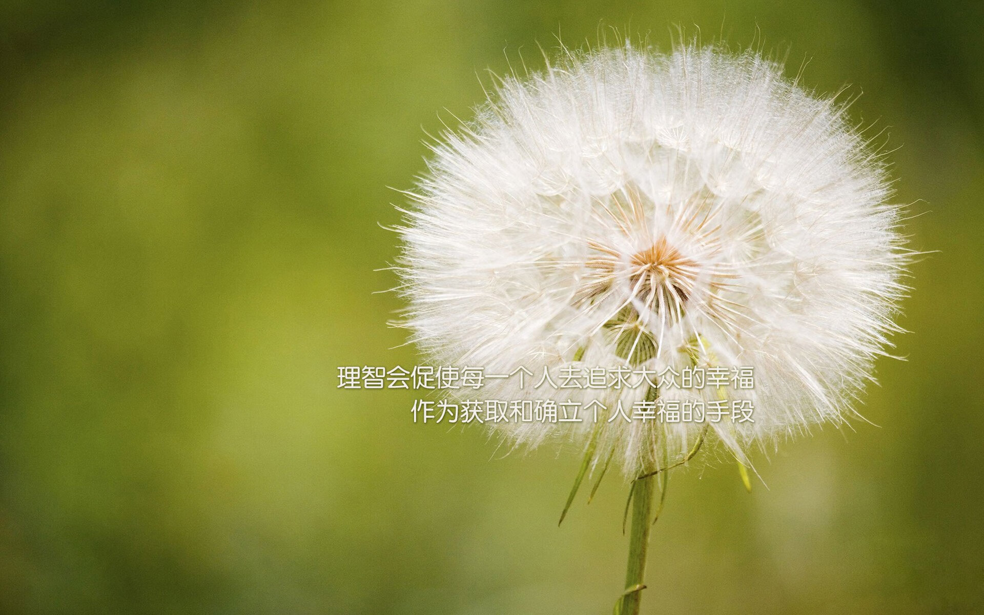 夜空之矛，哈弗茨在焦点之夜的无解进攻艺术