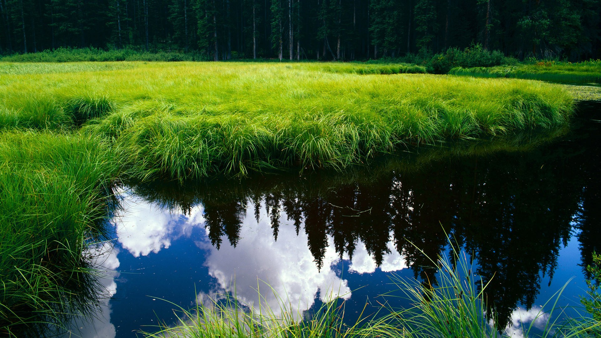 阿拉巴铁索横江，当一位后卫让欧冠半决赛提前落幕